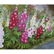 Hollyhocks standing tall Preview