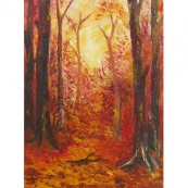 Autumn Trees in Three Groves Wood Preview