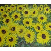 Sunflower Field Thumbnail