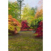 Westonbirt Trees Preview